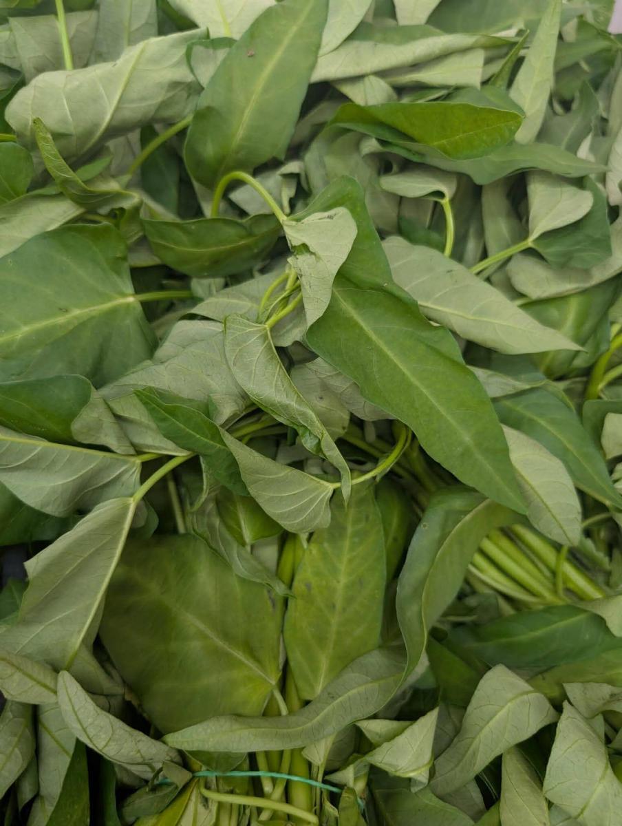 নতুন সবজি আসছে image 4