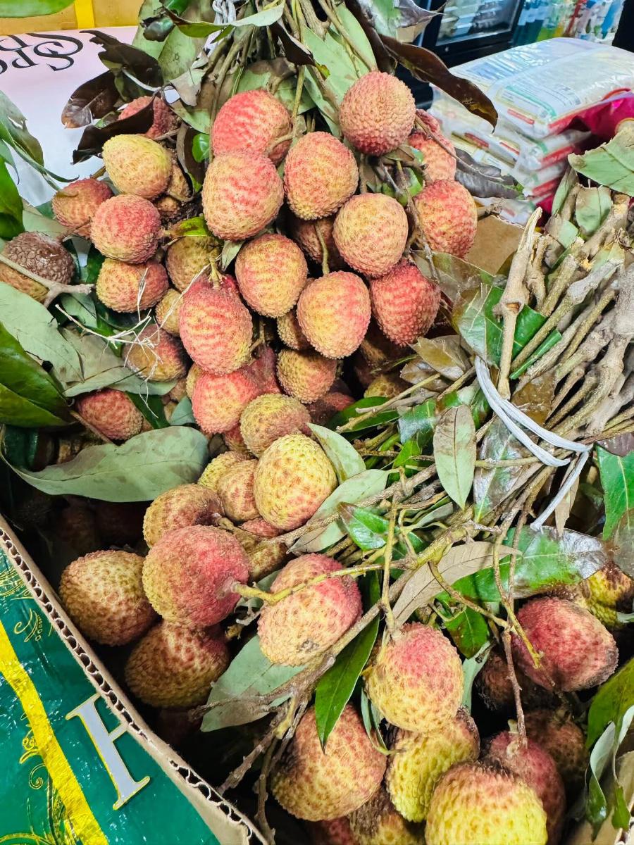 আম রুপালী, জাম,লিচু নিয়ে আজকের দিনের বিশাল ধামাকা।পরিমাণে অল্প আসবে।আগে আসলে আগে পাবেন।