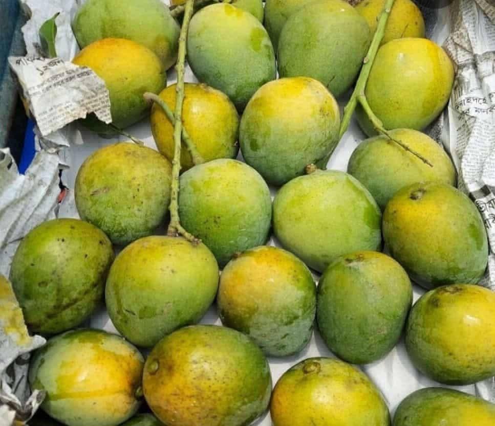 লিচু আজকেও আছে।সেইসাথে মধুর মতো মিষ্টি হিমসাগর আম image 2