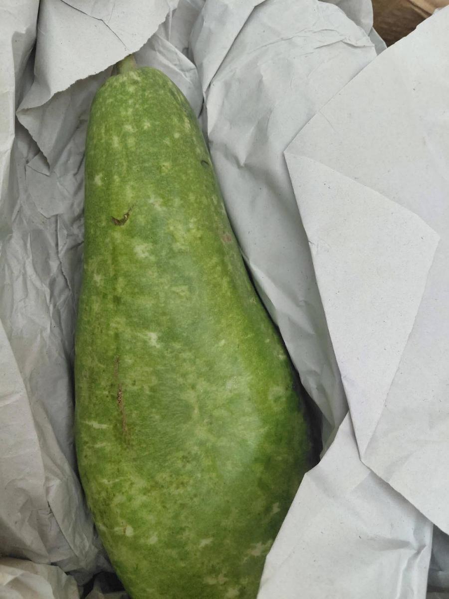 আগামীকাল নতুন সবজি ও ফল আসবে image 6