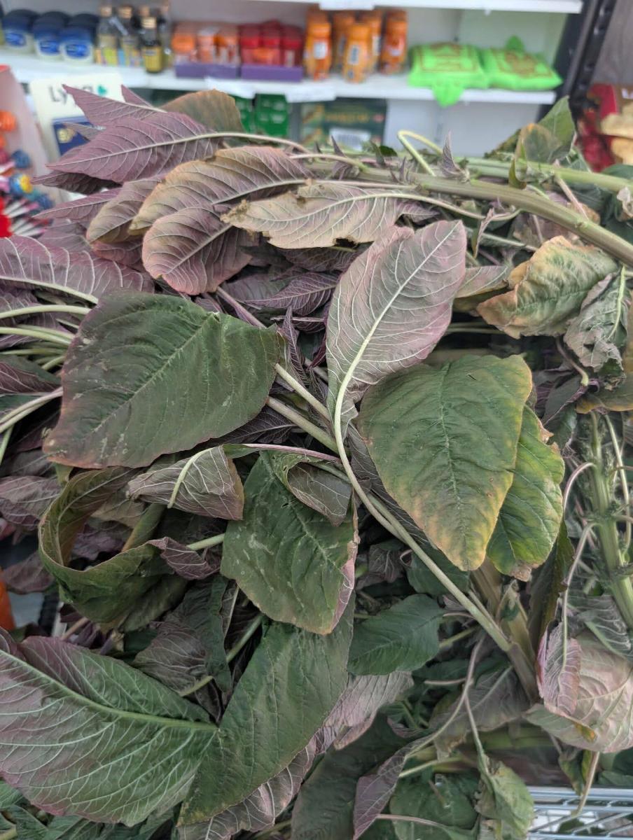 নতুন সবজি আসছে image 2