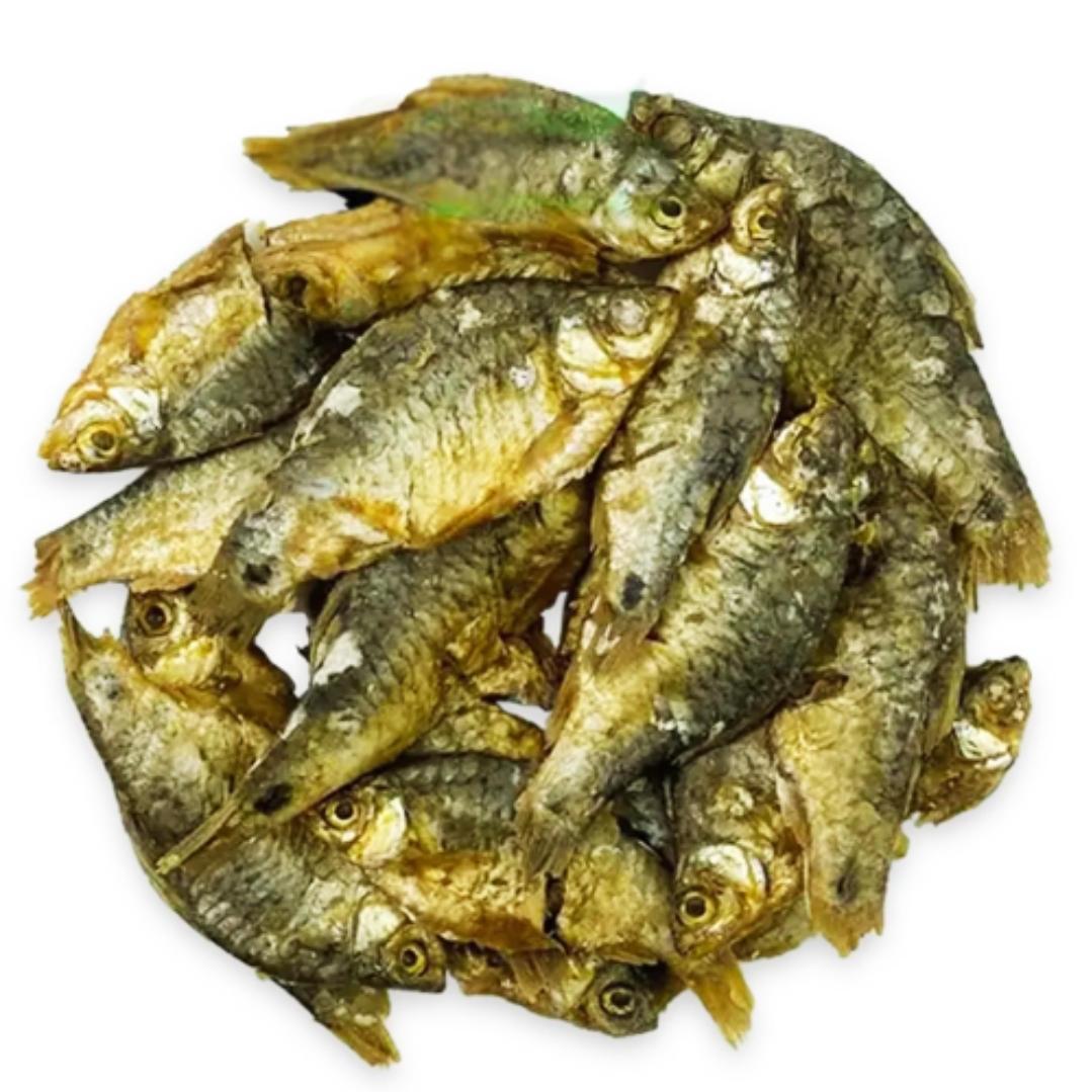 সব ধরনের শুটকি মাছ চলে এসেছে।