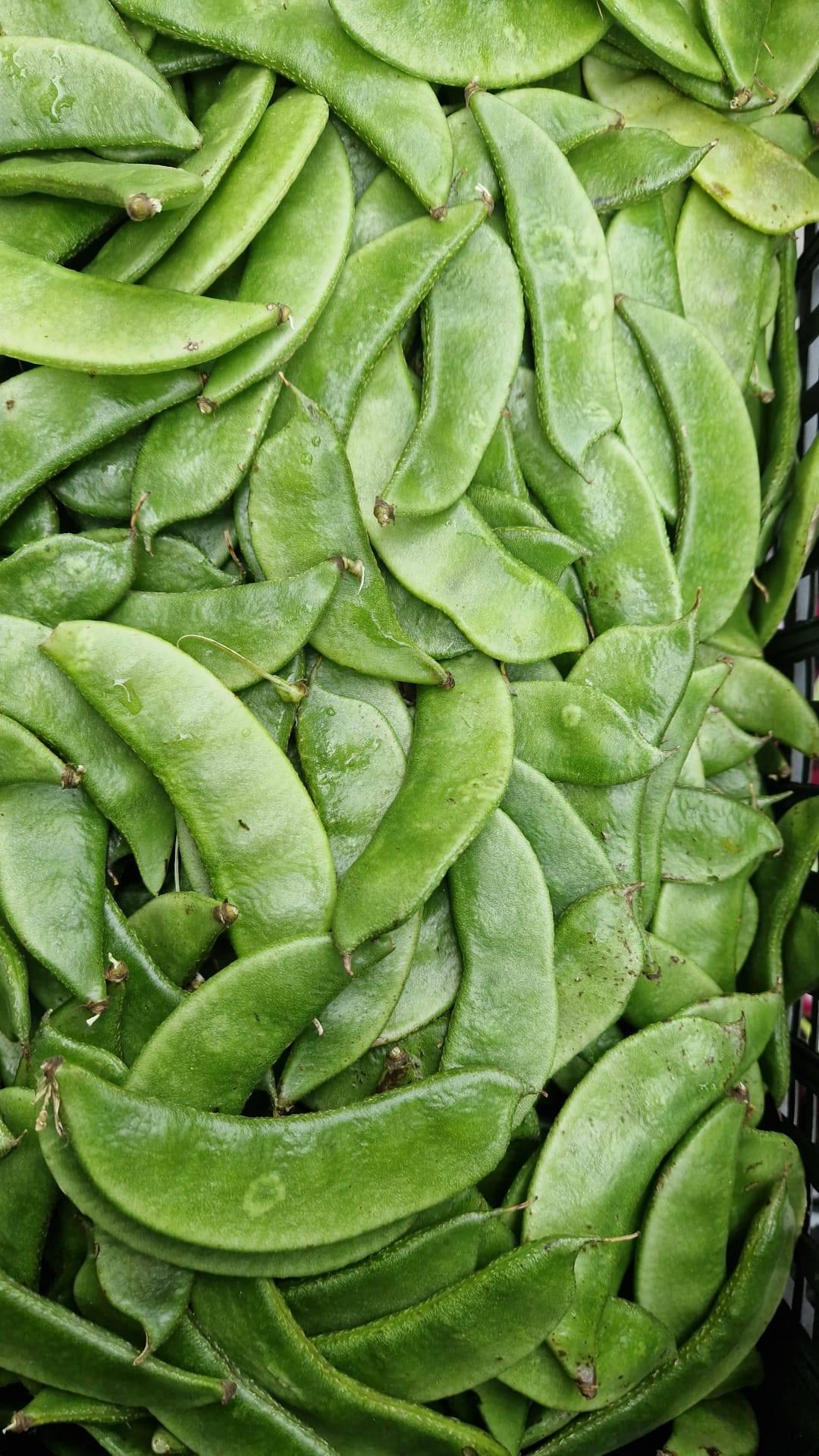 অনেক দেশিয় শাক সব্জী আসছে এইমাত্র।  viele frische gemüse gleich angekommen. image 7