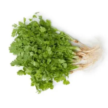 Coriander leaves - Dhonia Pata