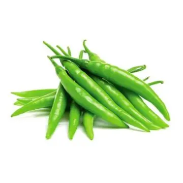 Green Chili - Kacha Morich - Grüne Chili